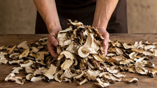 Funghi secchi: reidrata, scola e cucina in tre passaggi