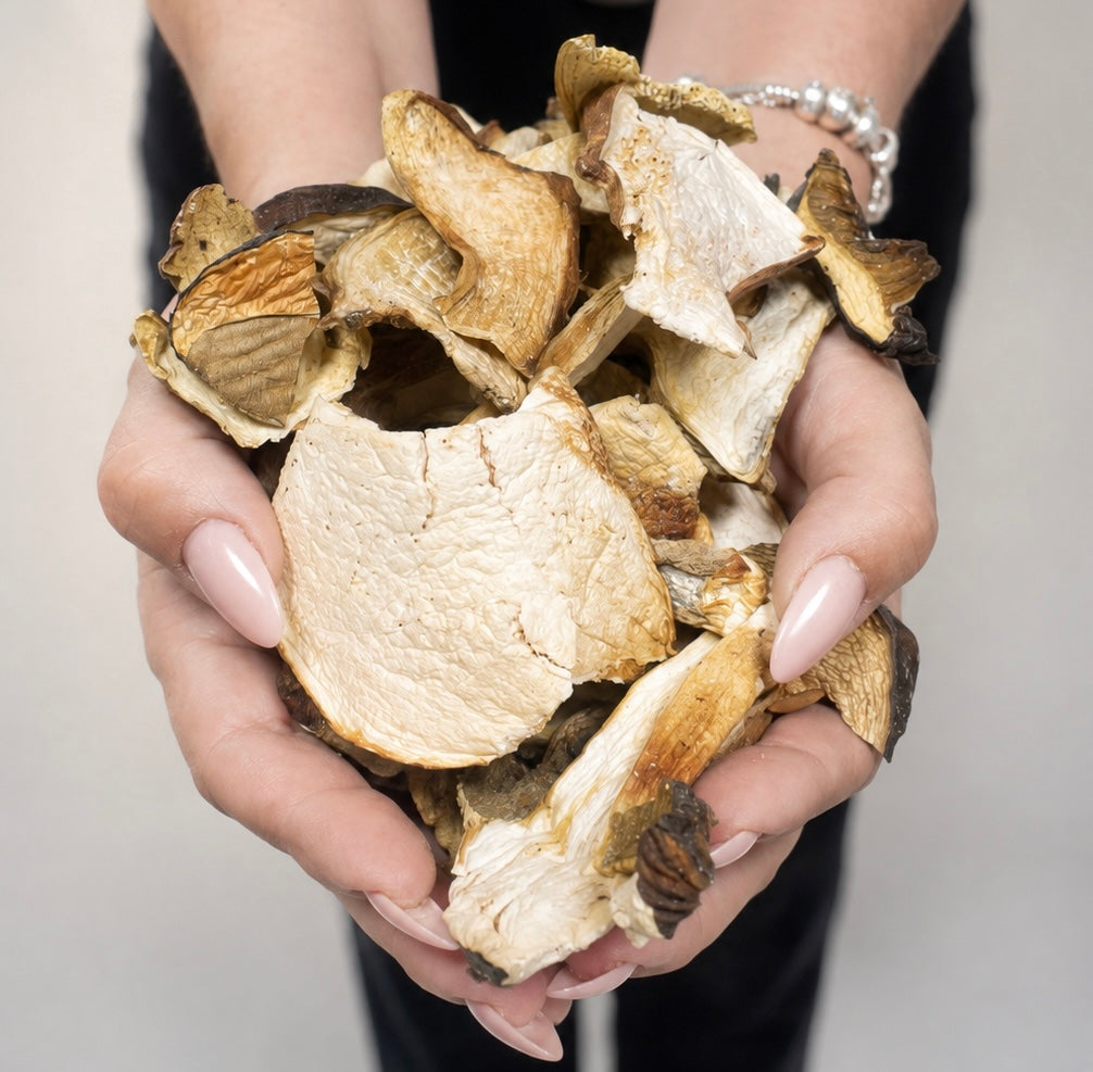 Porcini Secchi Premium