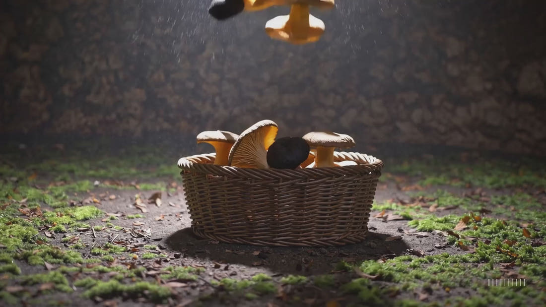 Animazione Moretti con funghi e un cestino